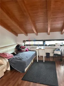 DUPLEX 3 cam Minerva 145 mp mobilat utilat - foto 6