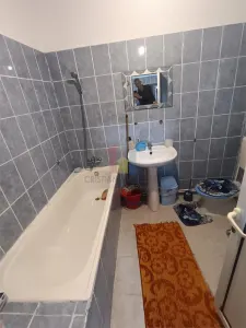 Casa Chercea, doua corpuri cladire, 3 camere, suprafata 256 mp - foto 7