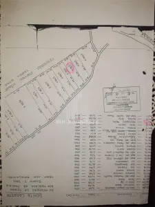 Teren de vanzare Bragadiru | 2500mp | dezvoltare imobiliara - foto 3