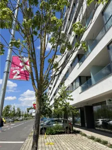 Studio cu gradina si acces la piscina-Comision 0% - foto 5