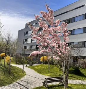 Studio cu gradina si acces la piscina-Comision 0% - foto 6