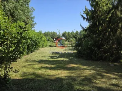 Cabana cu 2 dormitoare la Lacul Surduc – P+M, teren 445 mp, 2 terase, zon? verde superb?. - foto 4