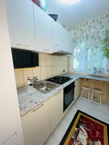 Apartament 2 camere de vanzare, vest, 3 4. Str Arhip Nicolae, renovat, 49.000 euro - foto 4