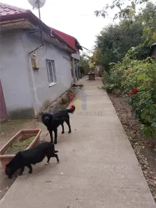 Casa 5 camere, teren 1349 mp, la 20Km de Braila - foto 12