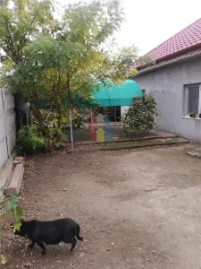 Casa 5 camere, teren 1349 mp, la 20Km de Braila - foto 15