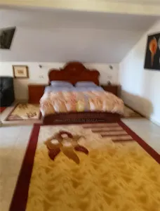 Casa 5 camere, teren 1349 mp, la 20Km de Braila - foto 16