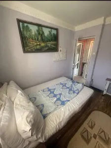 Apartament 2 camere Florilor,etaj 1,82000 Euro - foto 4