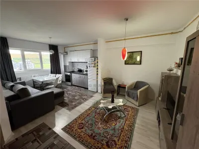 APARTAMENT 2 CAMERE | STR MALINULUI - foto 6