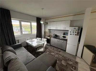 APARTAMENT 2 CAMERE | STR MALINULUI - foto 7
