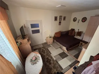 Spre vanzare casa in Lechinta - foto 2