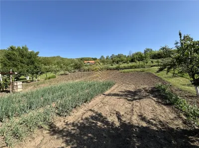 Spre vanzare casa in Lechinta - foto 9