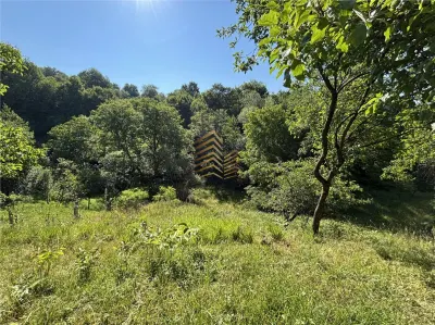Casa în Mijlocenii Bargaului - foto 2