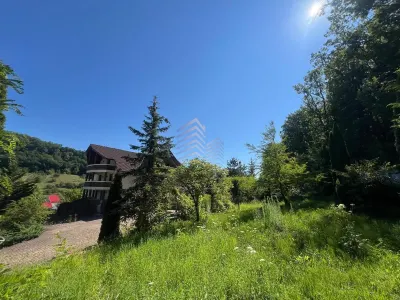 DE VANZARE CONAC / VILA / 800 MPU/ 14 CAMERE/ 35 ARII DE TEREN/ VALEA GHINZII - foto 11