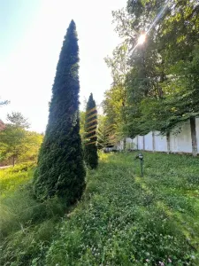 DE VANZARE CONAC / VILA / 800 MPU/ 14 CAMERE/ 35 ARII DE TEREN/ VALEA GHINZII - foto 3