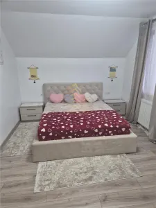 CASA DE VANZARE, P+1, VIISOARA - foto 11