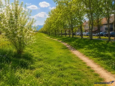 Locul unde fiecare zi se simte ca acasa: Un colt de liniste in Cartierul Florilor cu Promenada verde pe Aleea Salcamilor - foto 24
