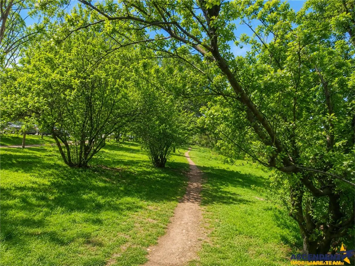 Locul unde fiecare zi se simte ca acasa: Un colt de liniste in Cartierul Florilor cu Promenada verde pe Aleea Salcamilor - foto 18