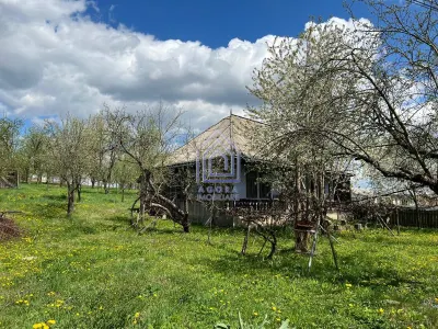 Teren, 48 ari, , cu casa batraneasca, Antoceni, Forasti, Suceava - Antoceni