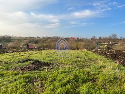 Teren, 48 ari, , cu casa batraneasca, Antoceni, Forasti, Suceava - foto 8