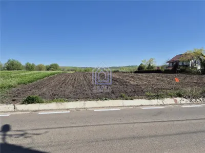 Teren intravilan Moara Bulai 51 ari - foto 2