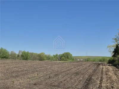 Teren intravilan Moara Bulai 51 ari - foto 3