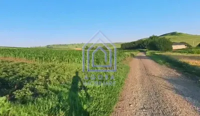 Teren intravilan Moara Carp - zona Ponoare - Moara Carp