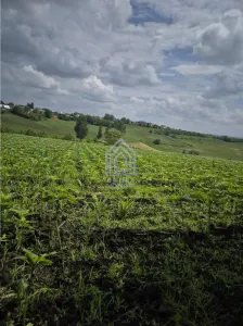 Teren intravilan Moara Nica - zona Scolii - foto 7