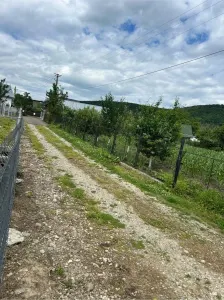 Terenuri intravilane de vanzare Patrauti - foto 7