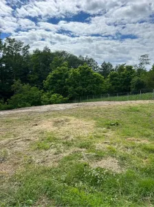 Terenuri intravilane de vanzare Patrauti - foto 8