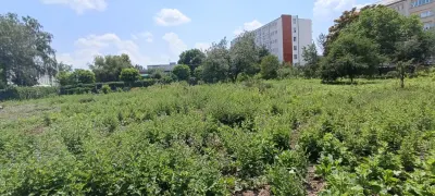 Teren intravilan 2.738 mp | P+4E | CUT 2,5 | Zona Universitatea Petrol-Gaze – Ploiesti - foto 2