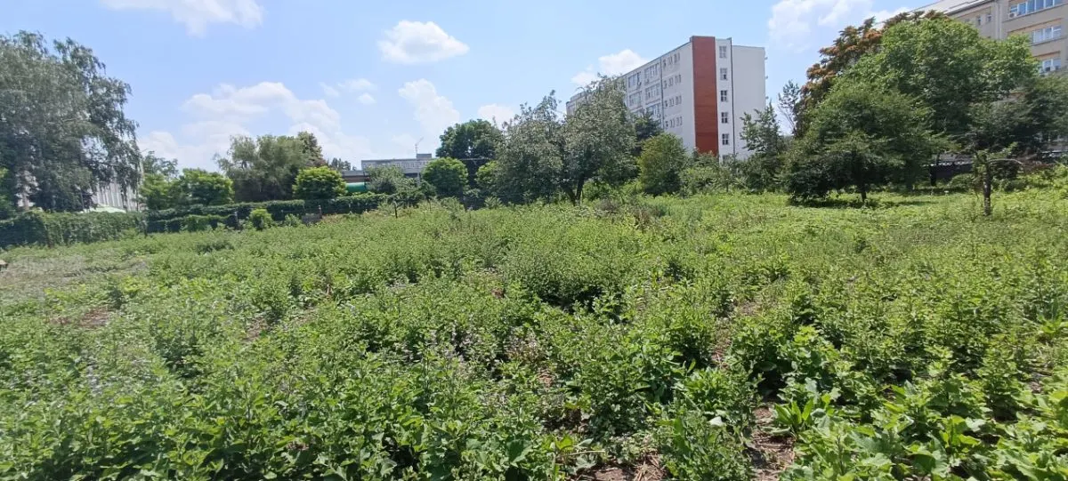 Teren intravilan 2.738 mp | P+4E | CUT 2,5 | Zona Universitatea Petrol-Gaze – Ploiesti - foto 2
