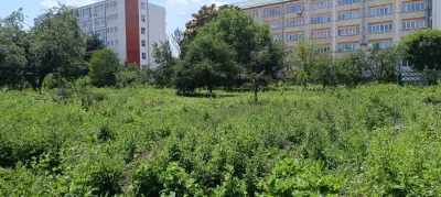 Teren intravilan 2.738 mp | P+4E | CUT 2,5 | Zona Universitatea Petrol-Gaze – Ploiesti - foto 11