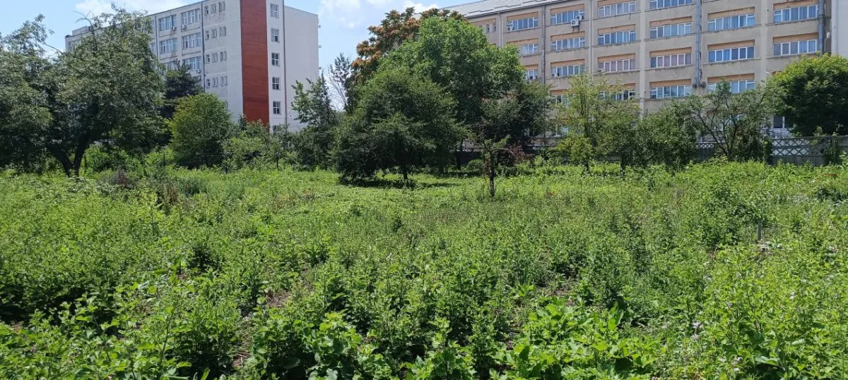 Teren intravilan 2.738 mp | P+4E | CUT 2,5 | Zona Universitatea Petrol-Gaze – Ploiesti - foto 11