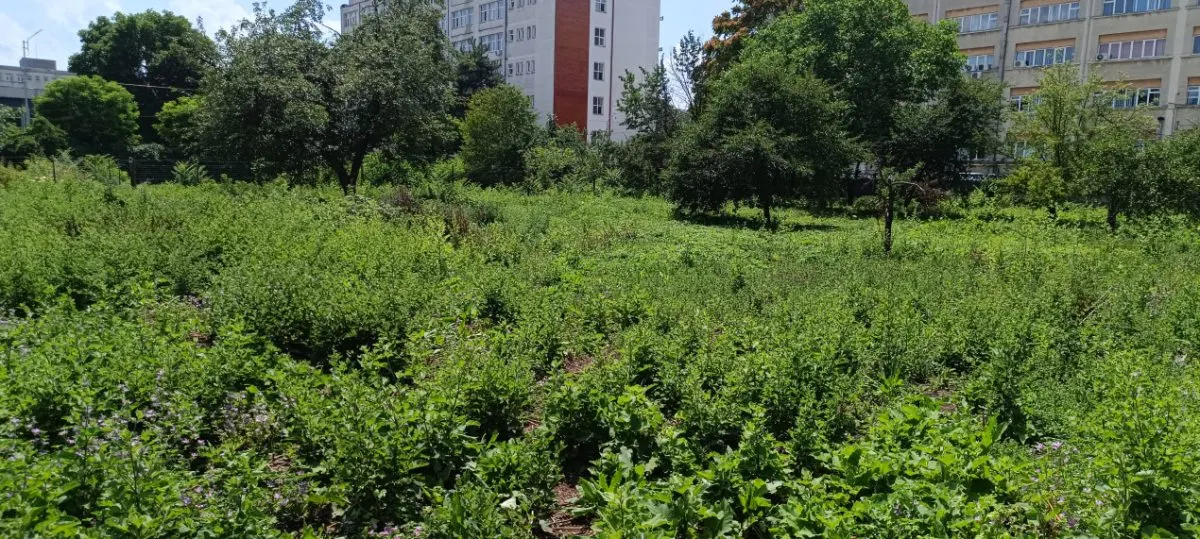 Teren intravilan 2.738 mp | P+4E | CUT 2,5 | Zona Universitatea Petrol-Gaze – Ploiesti - foto 12