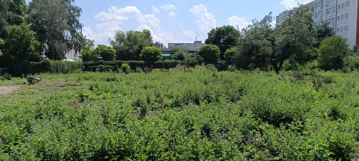 Teren intravilan 2.738 mp | P+4E | CUT 2,5 | Zona Universitatea Petrol-Gaze – Ploiesti - foto 13