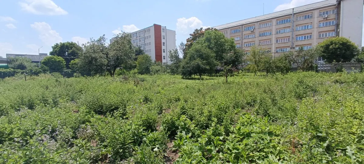 Teren intravilan 2.738 mp | P+4E | CUT 2,5 | Zona Universitatea Petrol-Gaze – Ploiesti - foto 3