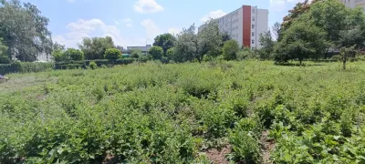 Teren intravilan 2.738 mp | P+4E | CUT 2,5 | Zona Universitatea Petrol-Gaze – Ploiesti - foto 6