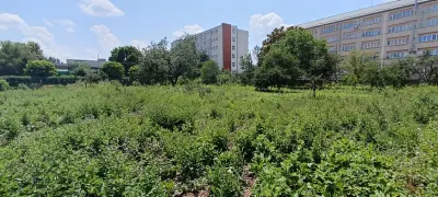 Teren intravilan 2.738 mp | P+4E | CUT 2,5 | Zona Universitatea Petrol-Gaze – Ploiesti - foto 8