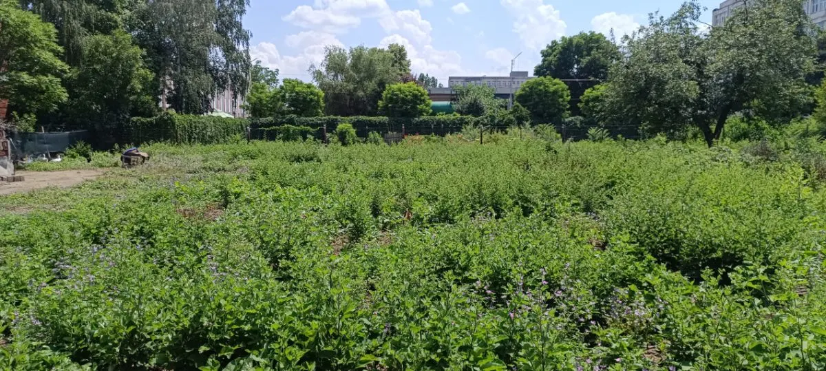 Teren intravilan 2.738 mp | P+4E | CUT 2,5 | Zona Universitatea Petrol-Gaze – Ploiesti - foto 9