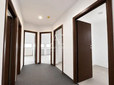 Antony Estate | Chirie Sp Comercial Central - Oradea - Oradea