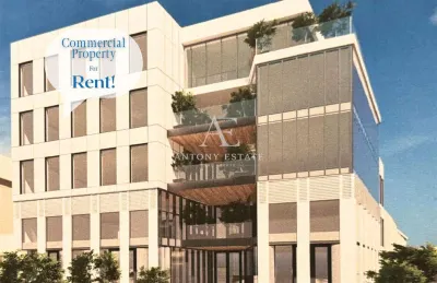 Antony Estate | Birouri de inchiriat, UltraCentral, Oradea - Oradea