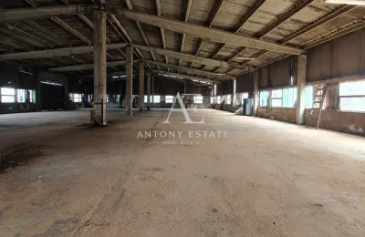 Antony Estate | Chirie hala-900 mp,Paleu-Oradea - foto 6