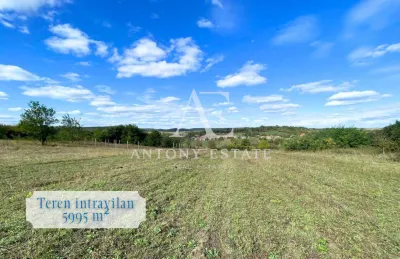 Antony Estate | Teren intravilan, de vanzare - Sumugiu, BH - foto 2