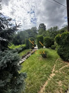 Casa de vanzare pe Sanatatii, Baia Mare - foto 15
