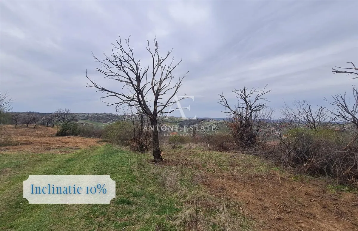 Antony Estate | Teren intravilan, de vanzare - Oradea, Bihor - foto 6
