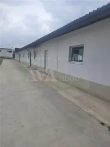 Hala de productie 370 mp renovata de inchiriat – Valea Seaca, la 10 minute de oras - foto 3