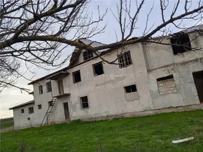 Imobil P+1 pentru afacere - foto 3