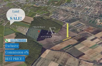 Antony Estate | Oportunitate de investitie - Teren Cihei, langa Padurea Nojorid - Sanmartin