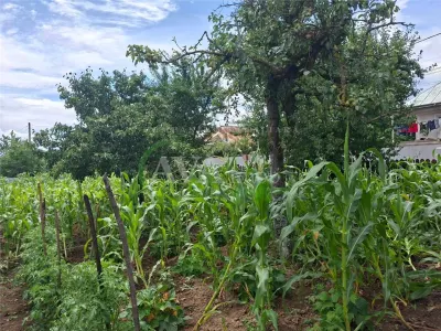 Teren intravilan 1000mp, zona Magura Sohodol - foto 2
