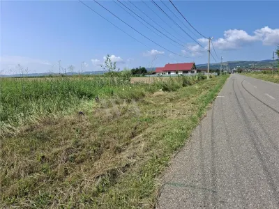 Teren intravilan 1600 mp, zona Nicolae Balcescu - Bacau
